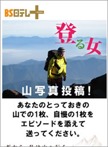 導入事例:サイトイメージ