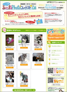 導入事例:サイトイメージ