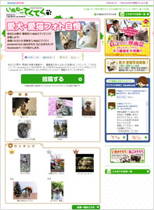 いぬのきもちねこのきもち みんなの愛犬、愛猫表紙自慢!ベネッセ