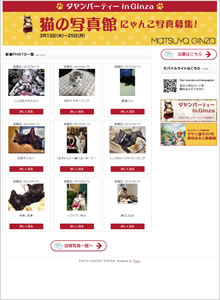 ダヤンパーティin GINZA猫の写真館にゃんこ写真募集!