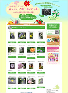 ダヤンパーティin GINZA猫の写真館にゃんこ写真募集!